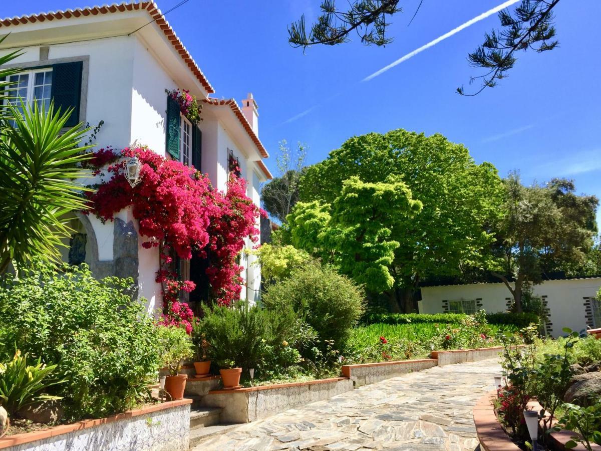 Cascais Seaside Garden Villa Ngoại thất bức ảnh